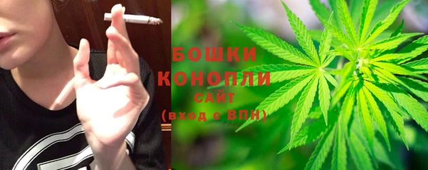 spice Струнино