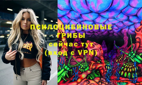ешки Верхний Тагил