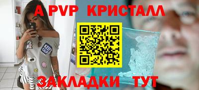 сатива Можга