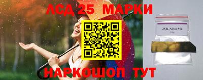 сатива Можга
