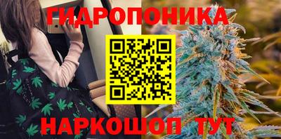 гидропоника Моздок