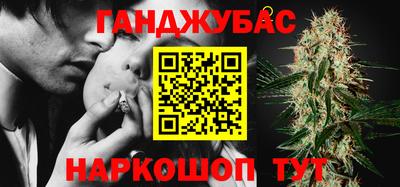 сатива Можга