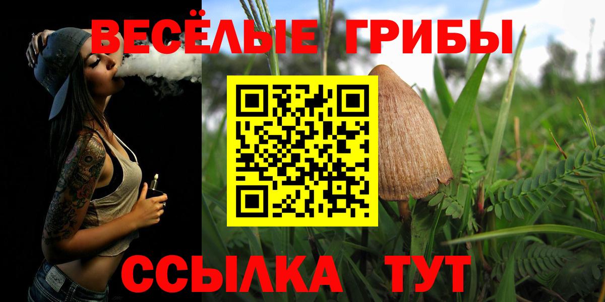 Галлюциногенные грибы Psilocybine cubensis  купить наркотик  Рузаевка  Вход с VPN  Псилоцибиновые грибы Psilocybine cubensis 